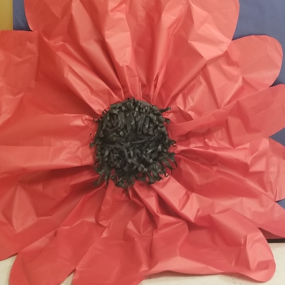 Meet your Posher, Cynthia